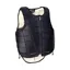Racesafe Adult RS2010 Body Protector - Black